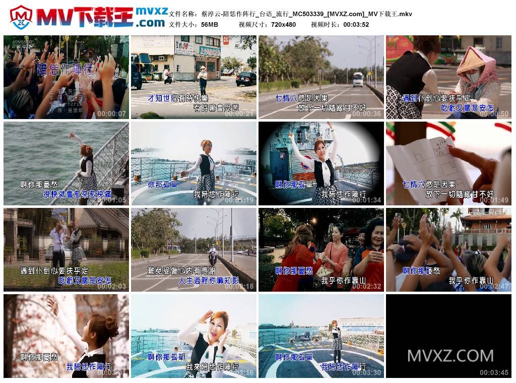 蔡淳云-陪恁作阵行_台语_流行_MC503339